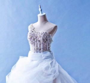 503W03 IS One Shoulder Illusion Bodice Princess Top Malaysia Wedding Dress Designer Rental