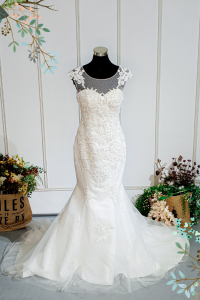 412W20 LL illusion back symmetrical lace a sexy back Malaysia Wedding Gown rental