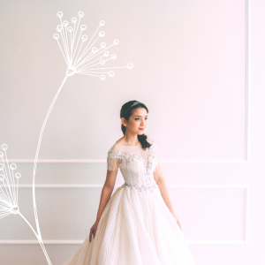 Evening Dress 711XNE06 Champagne stripe sequin Princess 5 Princess Wedding Gown Malaysia, Petite Bridal Wedding Dress rental Kuala Lumpur, 